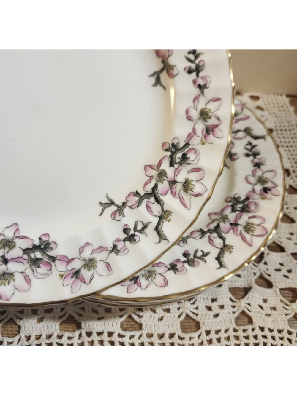 5- Royal Worcester 8" Lunch Plates Pomerina - Rare Print - Pink Floral Vintage - Picture 2 of 6